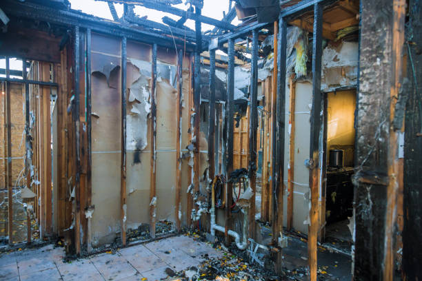 Professional Odor Removal technician working in Dexter, MI